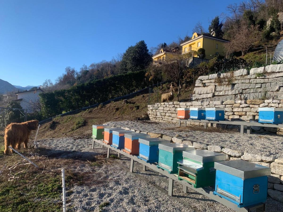 Apartamento Sole Verbania Exterior foto